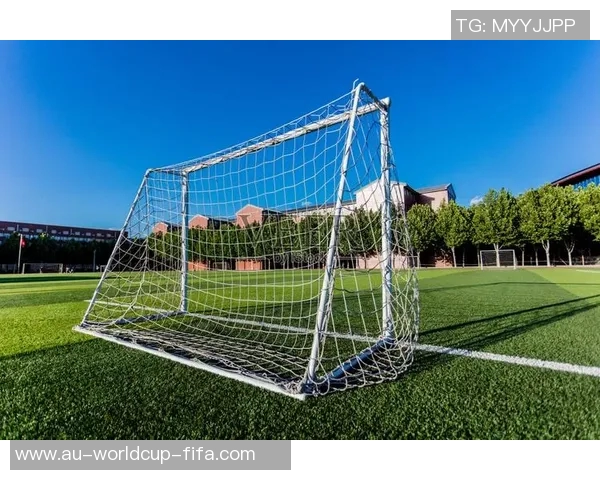 探索7人制足球球门的设计与发展对比赛的影响与技术革新
